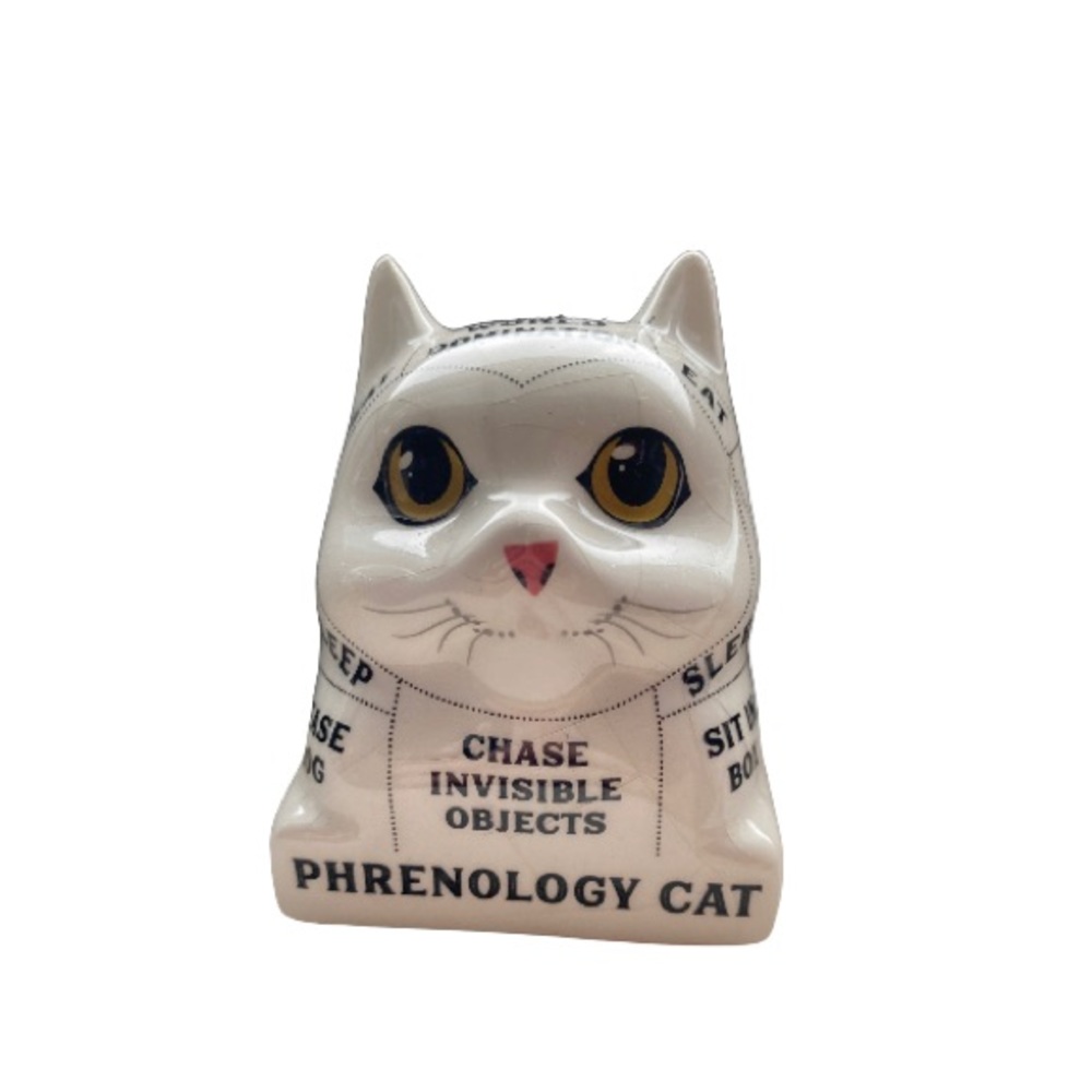 Phenology Cat